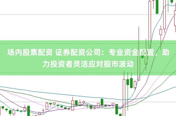 场内股票配资 证券配资公司：专业资金配置，助力投资者灵活应对股市波动