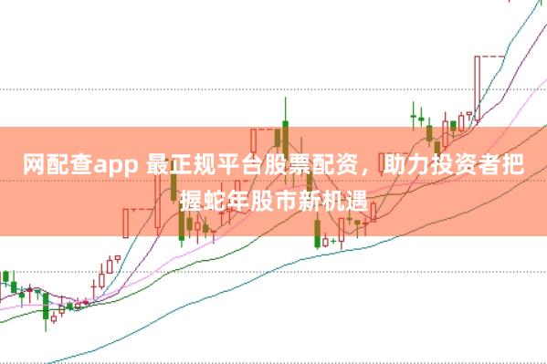 网配查app 最正规平台股票配资，助力投资者把握蛇年股市新机遇