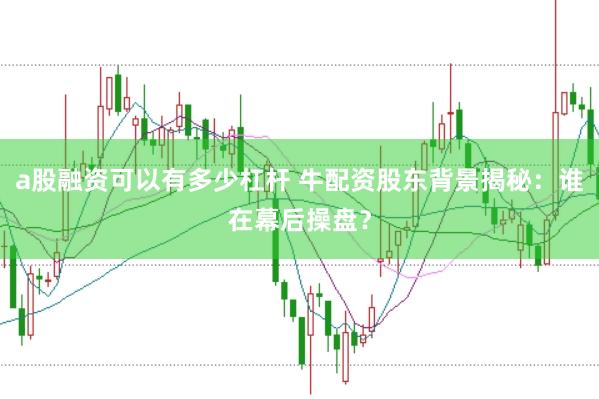 a股融资可以有多少杠杆 牛配资股东背景揭秘：谁在幕后操盘？