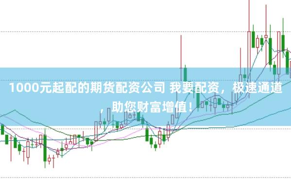 1000元起配的期货配资公司 我要配资，极速通道，助您财富增值！
