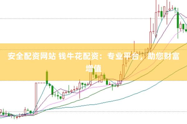 安全配资网站 钱牛花配资：专业平台，助您财富增值