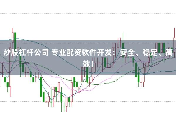 炒股杠杆公司 专业配资软件开发：安全、稳定、高效！