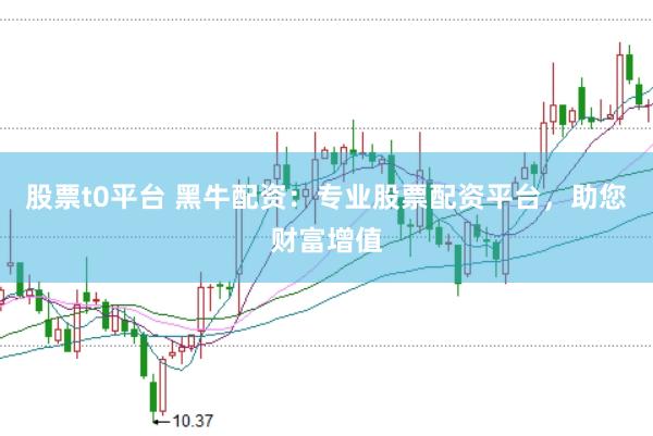 股票t0平台 黑牛配资：专业股票配资平台，助您财富增值