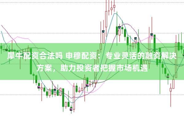 犀牛配资合法吗 申穆配资：专业灵活的融资解决方案，助力投资者把握市场机遇