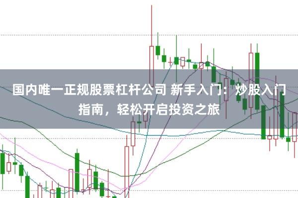 国内唯一正规股票杠杆公司 新手入门:炒股入门指南,轻松开启投资之旅