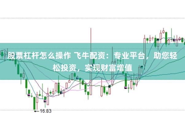 股票杠杆怎么操作 飞牛配资:专业平台,助您轻松投资,实现财富增值