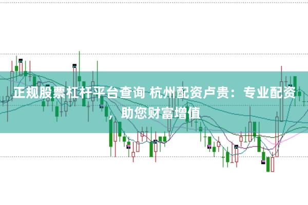 正规股票杠杆平台查询 杭州配资卢贵：专业配资，助您财富增值