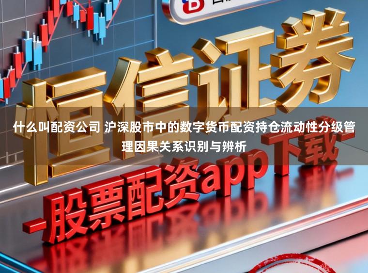 什么叫配资公司 沪深股市中的数字货币配资持仓流动性分级管理因果关系识别与辨析