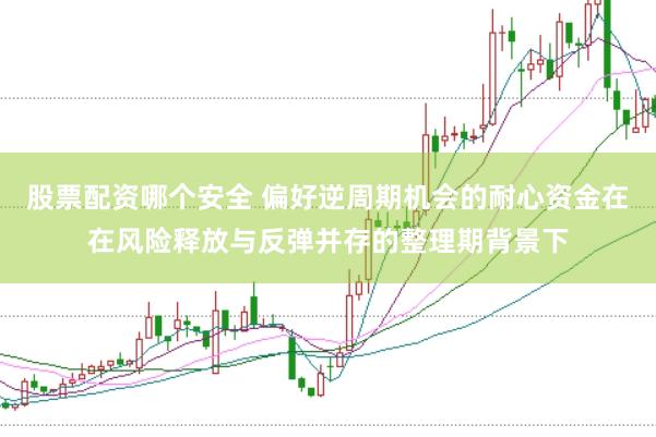 股票配资哪个安全 偏好逆周期机会的耐心资金在在风险释放与反弹并存的整理期背景下
