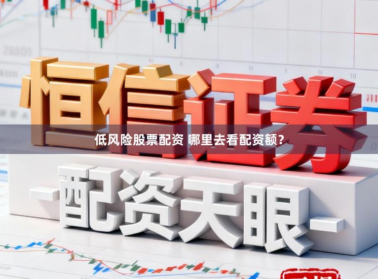 低风险股票配资 哪里去看配资额？